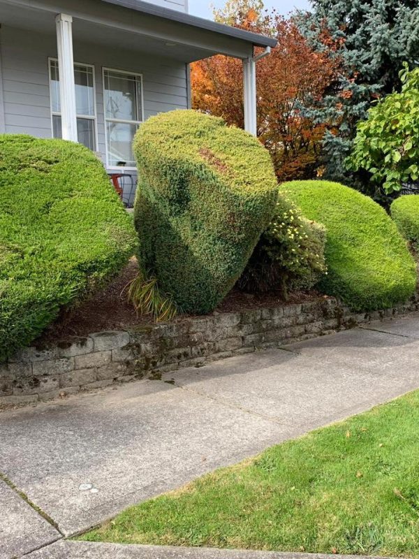 Green Landscaping