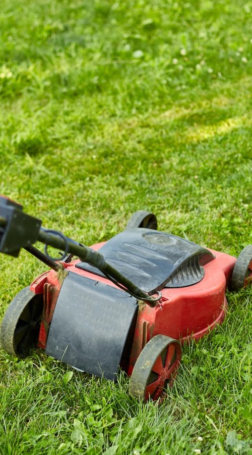 unrecognizable-woman-mows-the-lawn-with-a-lawn-mower-grass-at-home-garden-gardener-woman-working-1.jpg